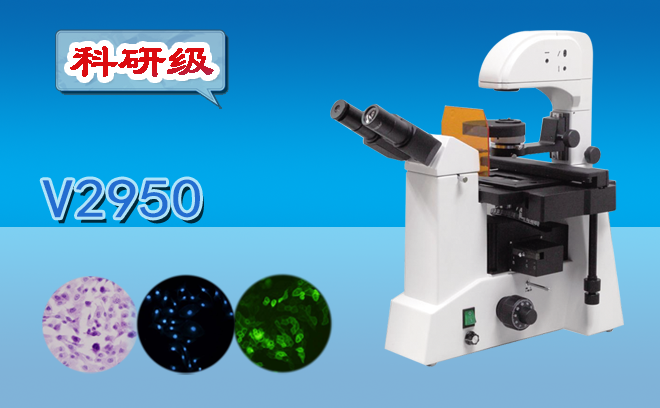 熒光午夜精品女人A片爽爽免费.png 熒光午夜精品女人A片爽爽免费.png