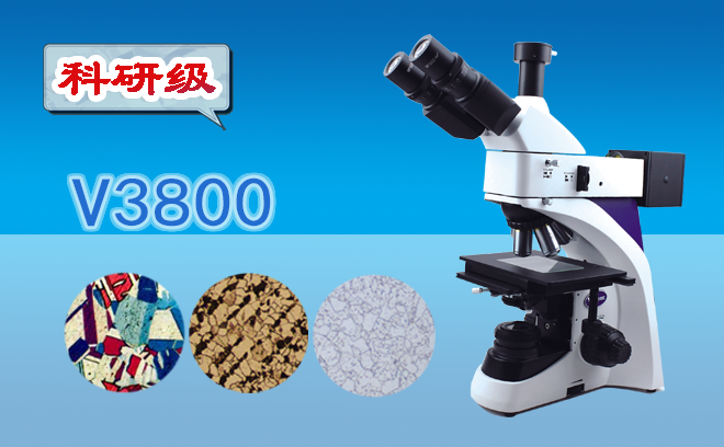 1665379072788374.png 金相午夜精品女人A片爽爽免费.png