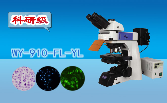 1671081533186168.png 熒光午夜精品女人A片爽爽免费.png